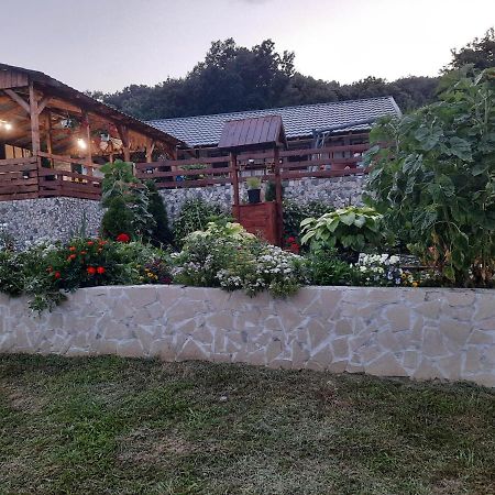 Casa Claudiu Villa Ieşelniţa Eksteriør billede