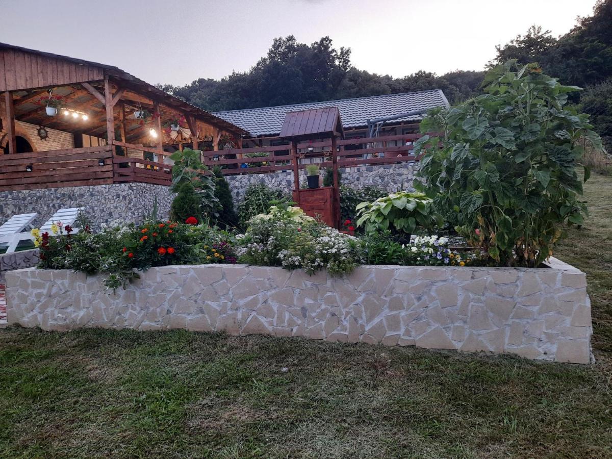 Casa Claudiu Villa Ieşelniţa Eksteriør billede